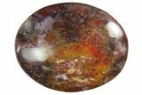 Petrified Palm Root Pocket Stones - Red Color - Photo 3